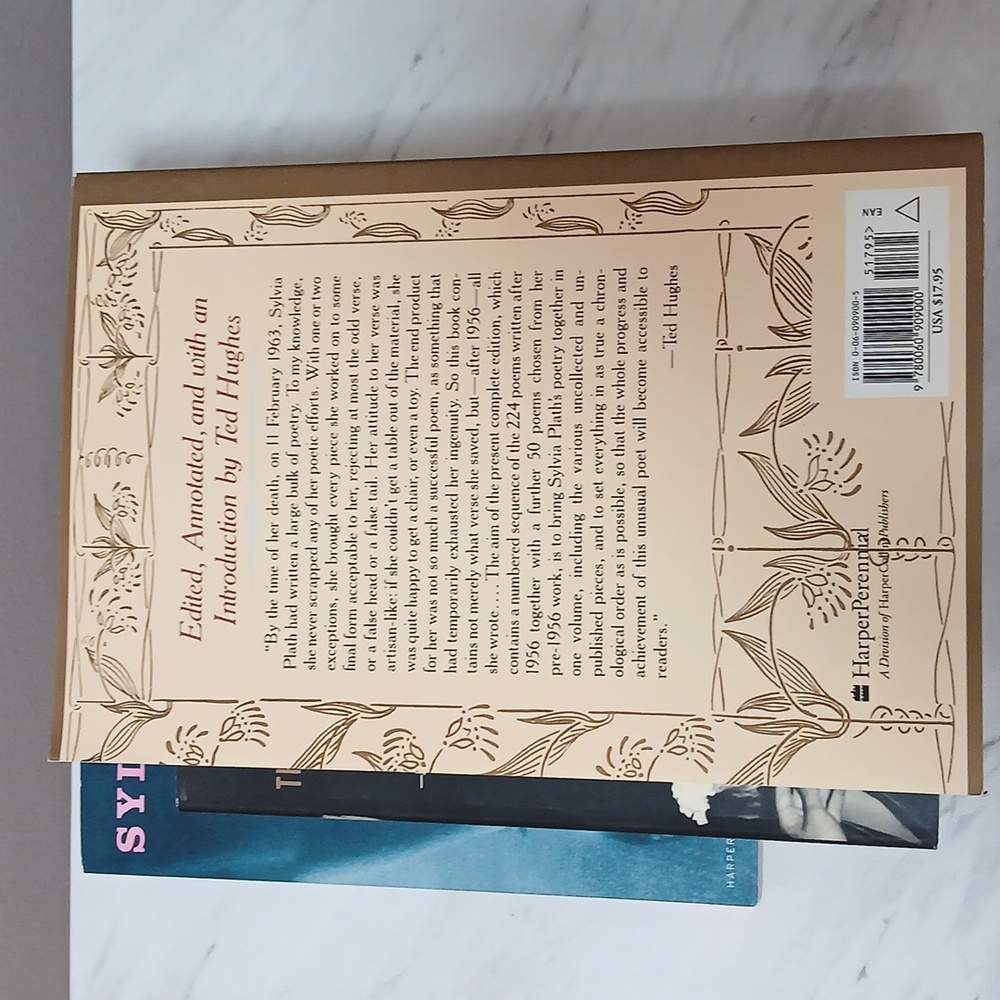 Sylvia Plath Book Collection - Picture 8 of 16